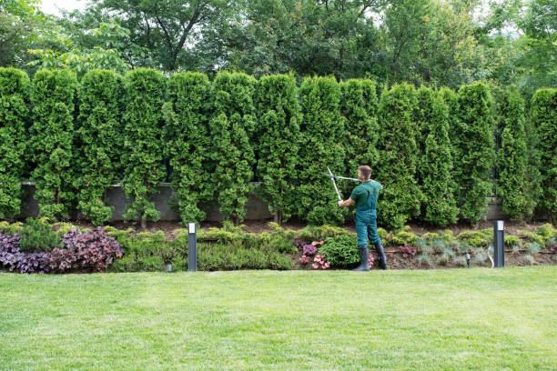  Great Neck, NY Tree Care Services Pros